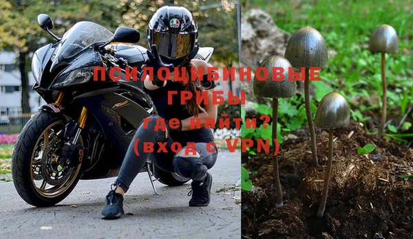 молекула духа Дмитров