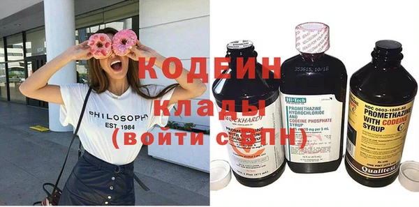 молекула духа Дмитров