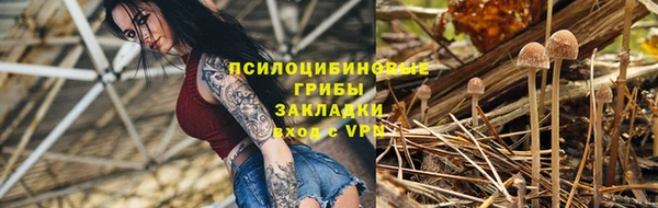 герыч Дмитровск