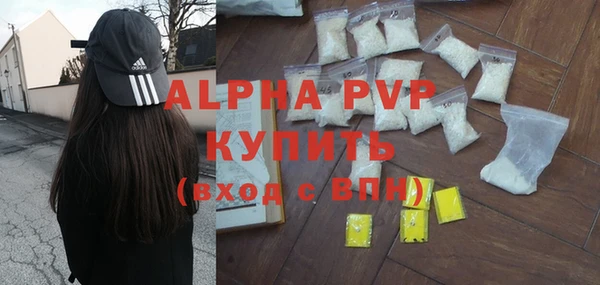 молекула духа Дмитров