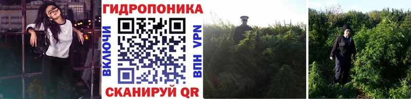 МАРИХУАНА семена  Купить где  Уварово 